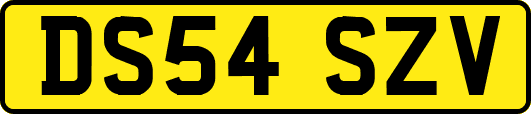 DS54SZV