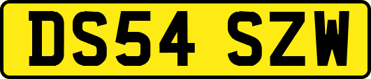 DS54SZW