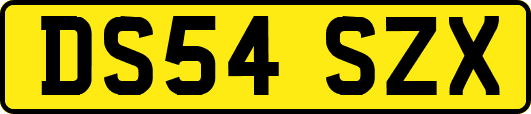 DS54SZX