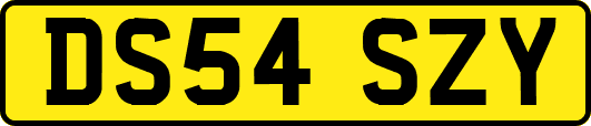 DS54SZY
