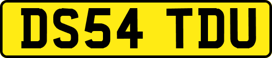 DS54TDU