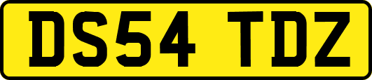 DS54TDZ