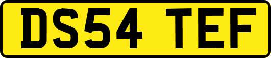 DS54TEF