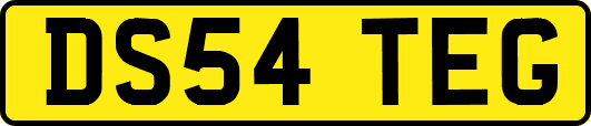 DS54TEG