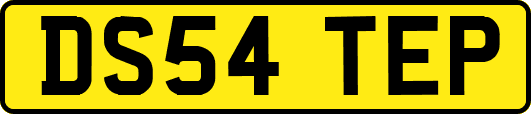 DS54TEP