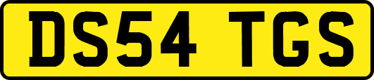 DS54TGS