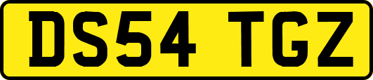 DS54TGZ