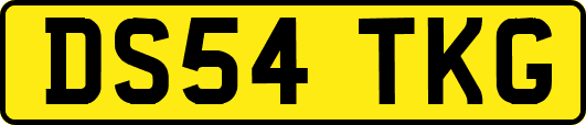 DS54TKG