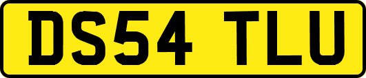 DS54TLU