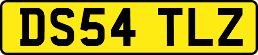 DS54TLZ