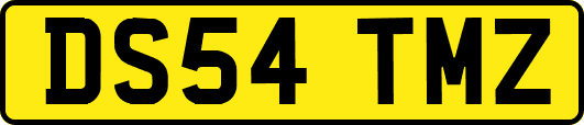 DS54TMZ