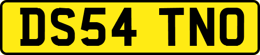 DS54TNO