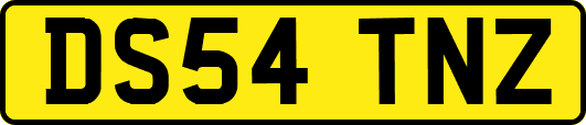 DS54TNZ