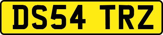 DS54TRZ