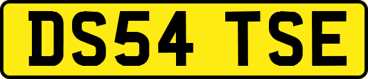 DS54TSE