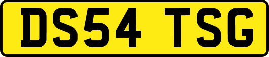 DS54TSG