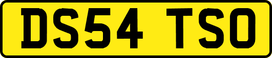 DS54TSO