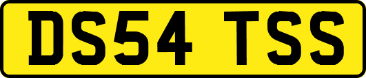 DS54TSS