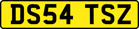 DS54TSZ