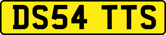 DS54TTS