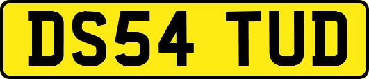 DS54TUD