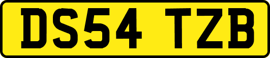 DS54TZB