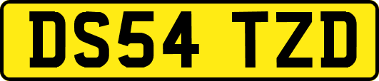 DS54TZD