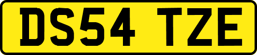 DS54TZE