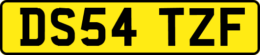 DS54TZF