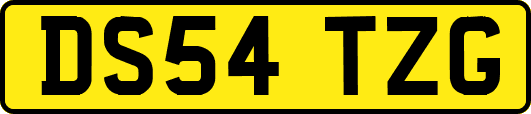 DS54TZG