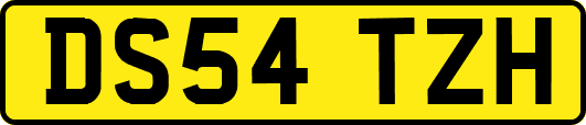 DS54TZH