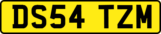 DS54TZM