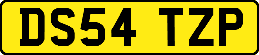 DS54TZP