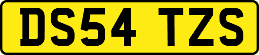 DS54TZS