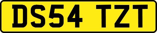 DS54TZT