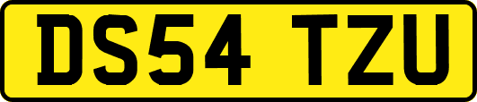 DS54TZU