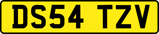 DS54TZV