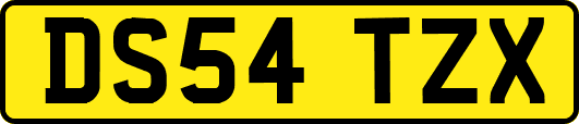 DS54TZX