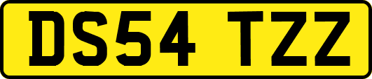 DS54TZZ
