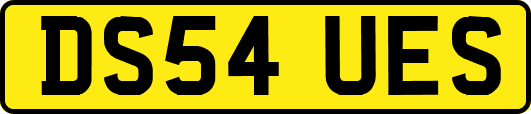 DS54UES