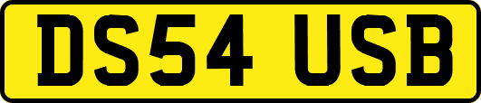 DS54USB
