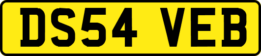 DS54VEB
