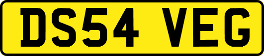 DS54VEG