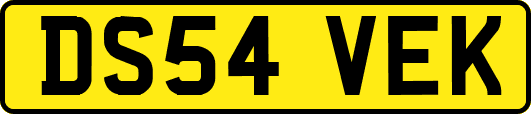 DS54VEK
