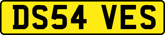 DS54VES