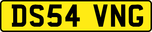 DS54VNG