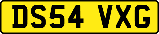 DS54VXG