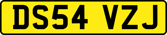 DS54VZJ