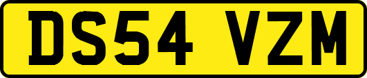 DS54VZM