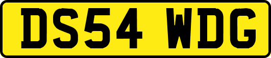 DS54WDG